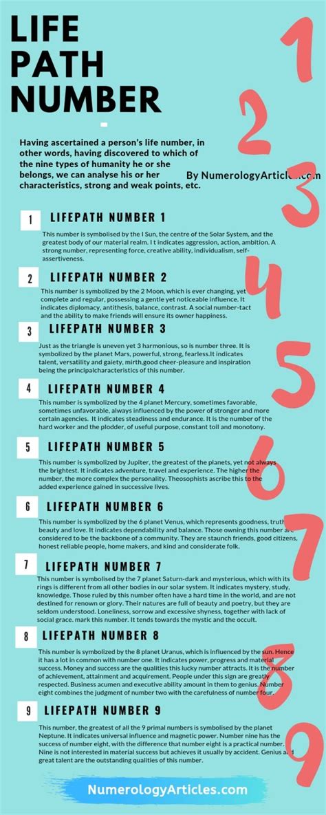 Numerical Curse Book PDF: The Secret Language of Numbers